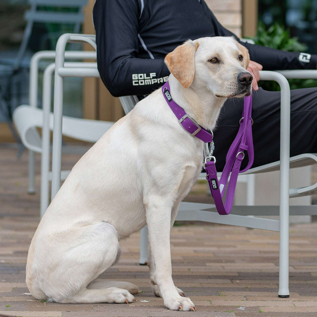 【DOG Copenhagen ドッグコペンハーゲン】アーバンクラシックカラー XS〜XLサイズ