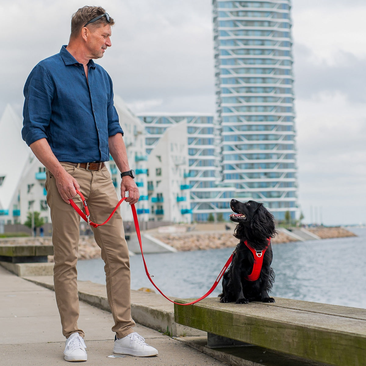 【DOG Copenhagen ドッグコペンハーゲン】アーバンクラシックリーシュ S,Lサイズ ハンズフリー リーシュ