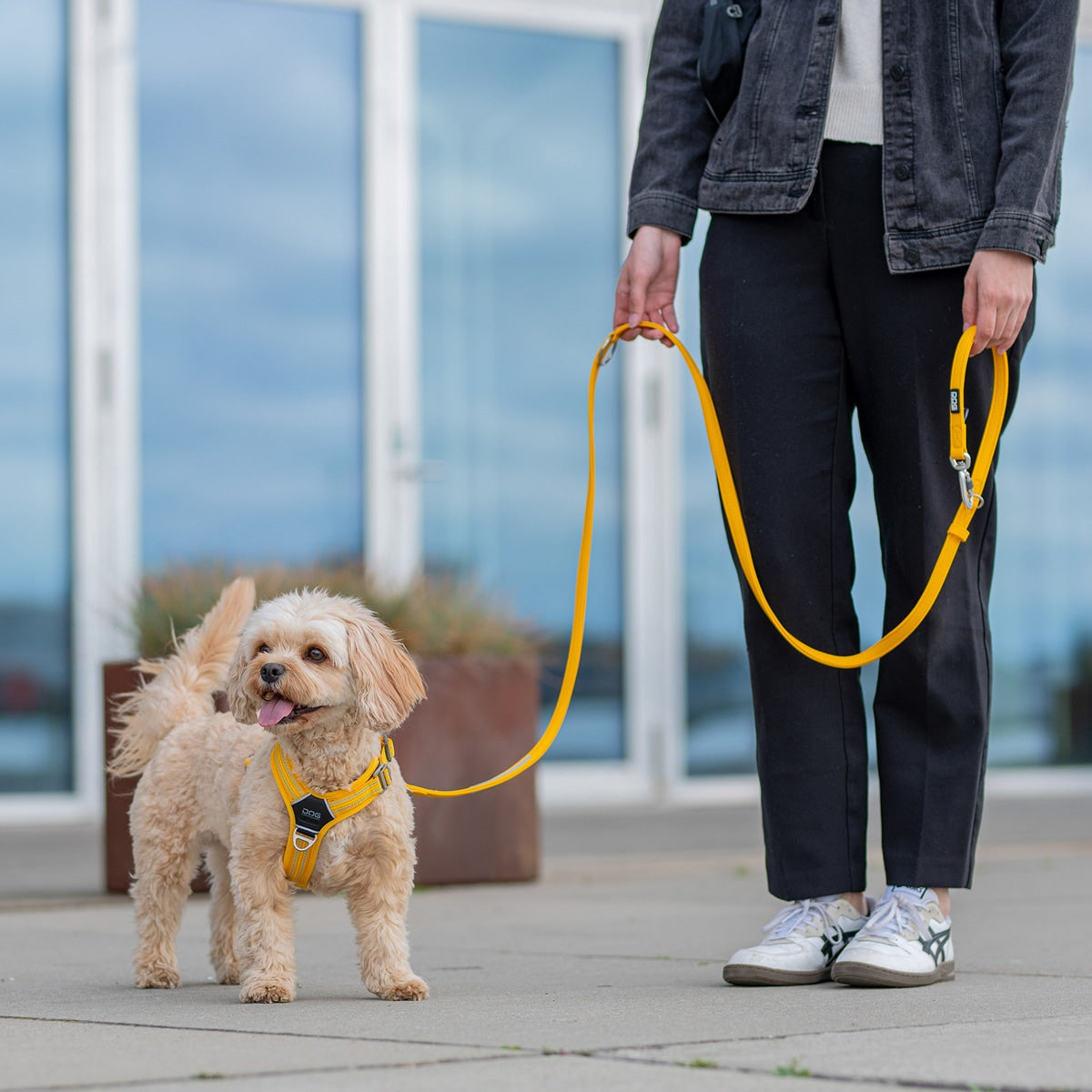 【DOG Copenhagen ドッグコペンハーゲン】アーバンクラシックリーシュ S,Lサイズ ハンズフリー リーシュ
