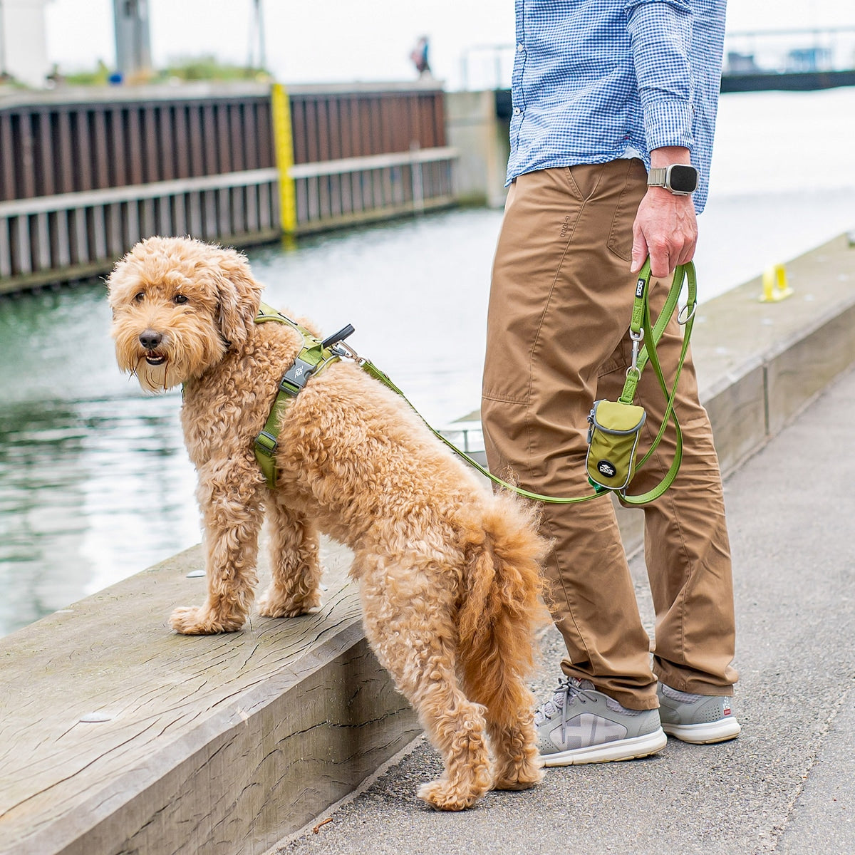 【DOG Copenhagen ドッグコペンハーゲン】アーバンクラシックリーシュ S,Lサイズ ハンズフリー リーシュ