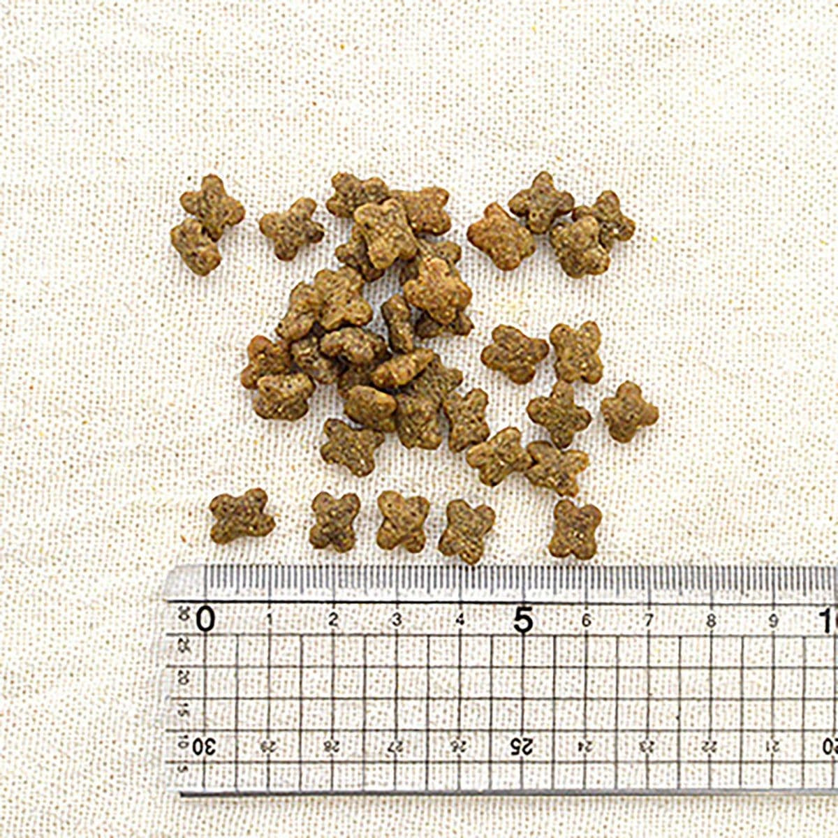 【NOW FRESH ナウ フレッシュ】グレインフリー スモールブリード(小粒)フィッシュアダルト / 2.3kg ドッグフード