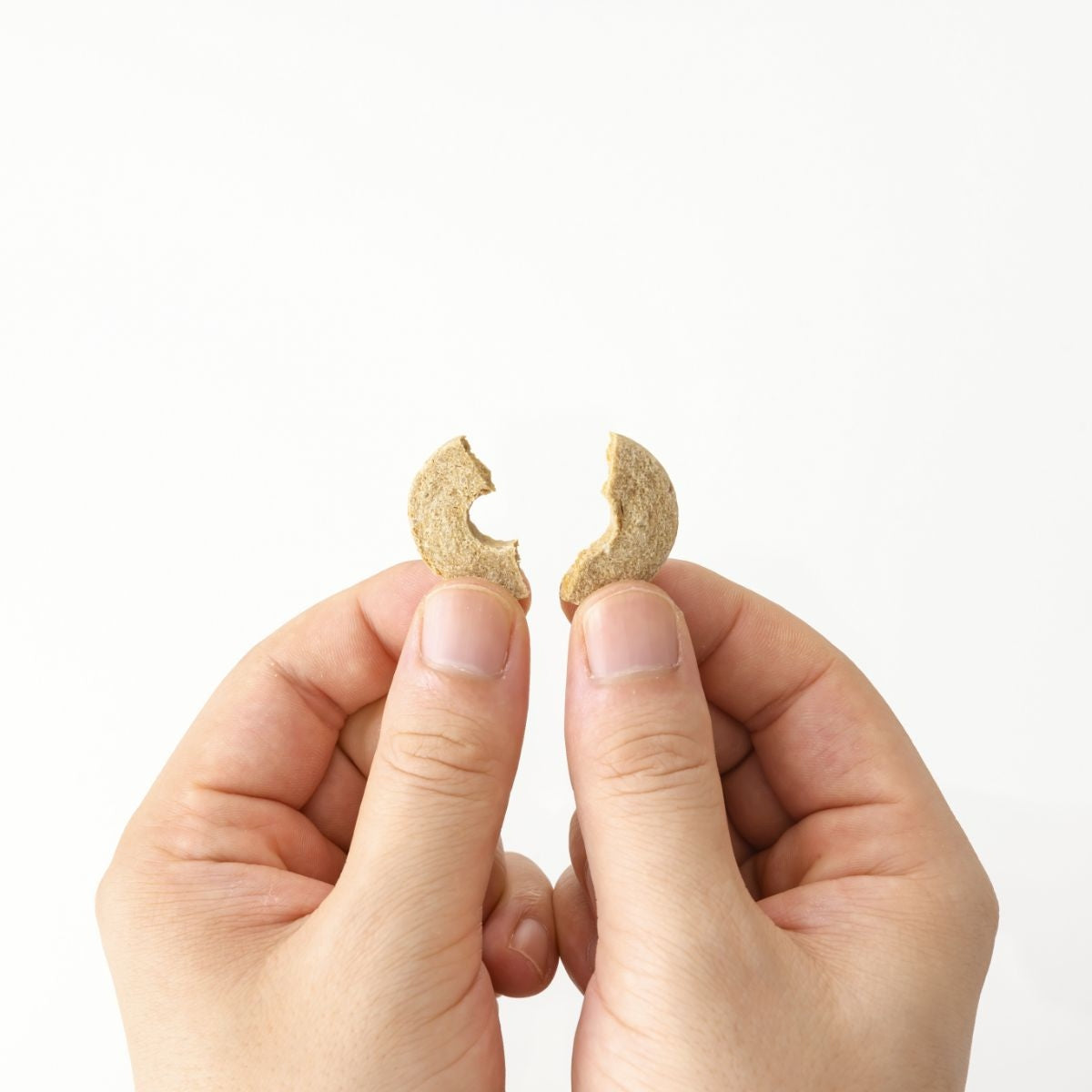 【dot wan ドットわん】ペット用 おやつ ヨーグルト クッキー