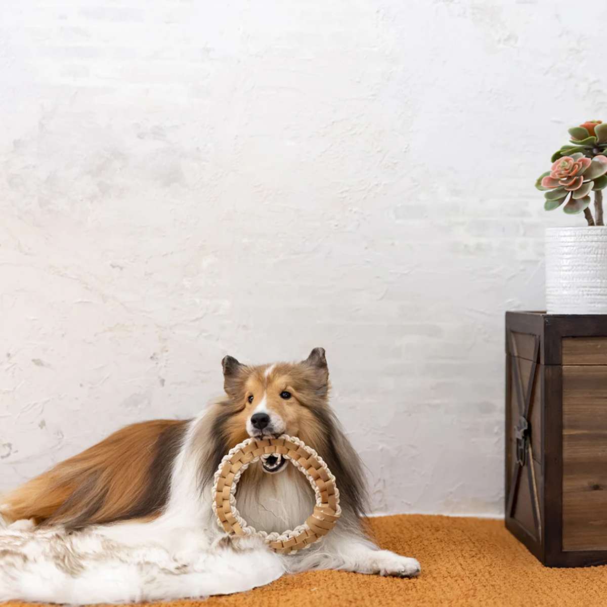 【FAD ファッド】レザー&コットン・トイ/リング