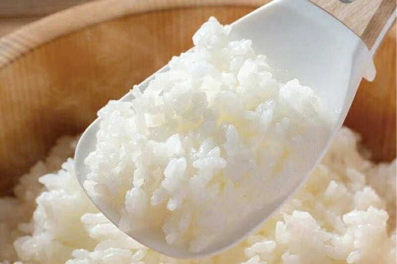 【FD STYLE エフディースタイル】ご飯がつかないしゃもじ「宴」