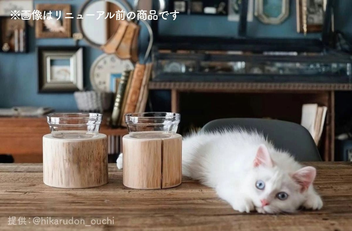 【Felesto フェレスト】Log Bowl ヒノキのログボウル 丸太の餌台 ごはんお水兼用 耐熱ガラスボウル付