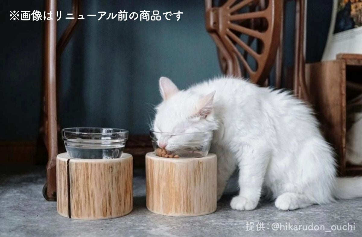 【Felesto フェレスト】Log Bowl ヒノキのログボウル 丸太の餌台 ごはんお水兼用 耐熱ガラスボウル付