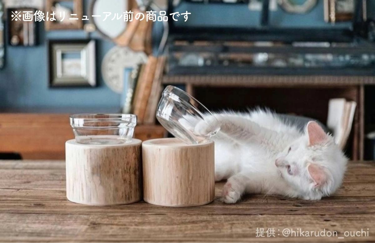 【Felesto フェレスト】Log Bowl ヒノキのログボウル 丸太の餌台 ごはんお水兼用 耐熱ガラスボウル付
