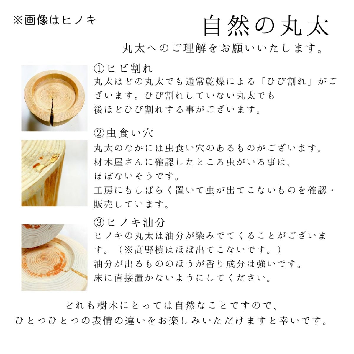 【Felesto フェレスト】Log Bowl ヒノキのログボウル 丸太の餌台 ごはんお水兼用 耐熱ガラスボウル付