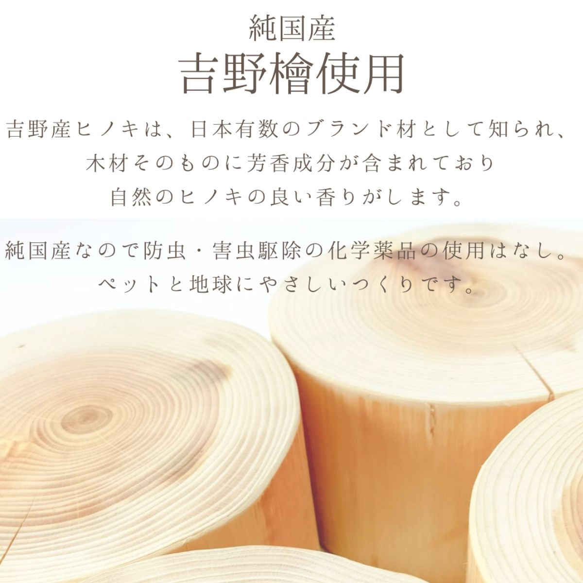 【Felesto フェレスト】Log Bowl ヒノキのログボウル 丸太の餌台 ごはんお水兼用 耐熱ガラスボウル付