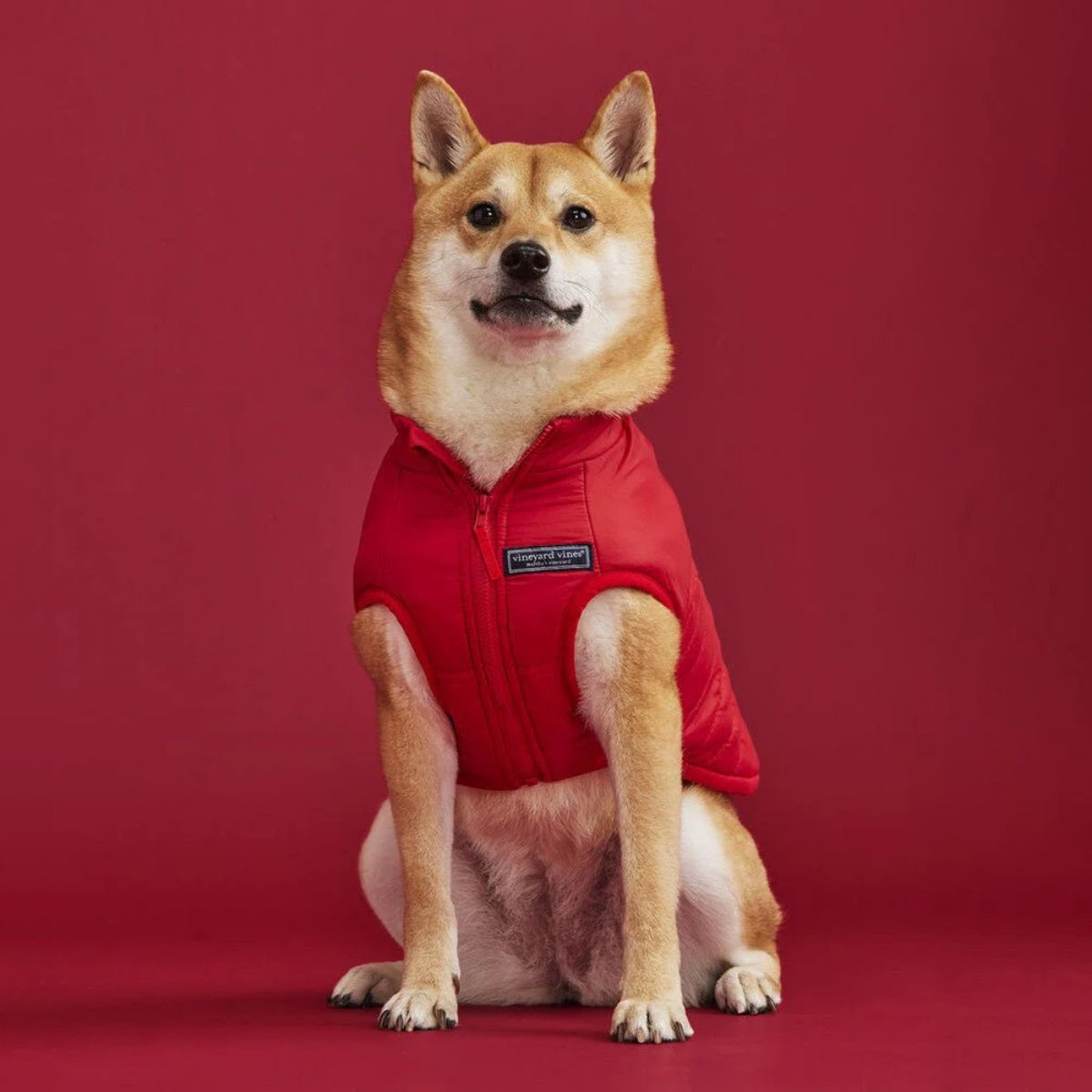 【FOUND MY ANIMAL ファウンドマイアニマル】パファージャケット RED VELVET レッドベルベット M XL XXL 3L サイズ Vineyard Vines コラボ