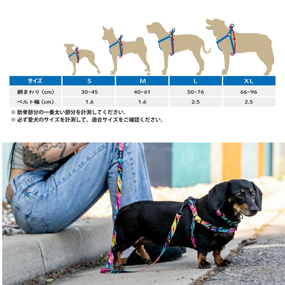 【WOLFGANG MAN & BEAST ウルフギャング マン&ビースト】ハーネス FuzzyTails Harness(S M L size 胴囲:30〜76cm)