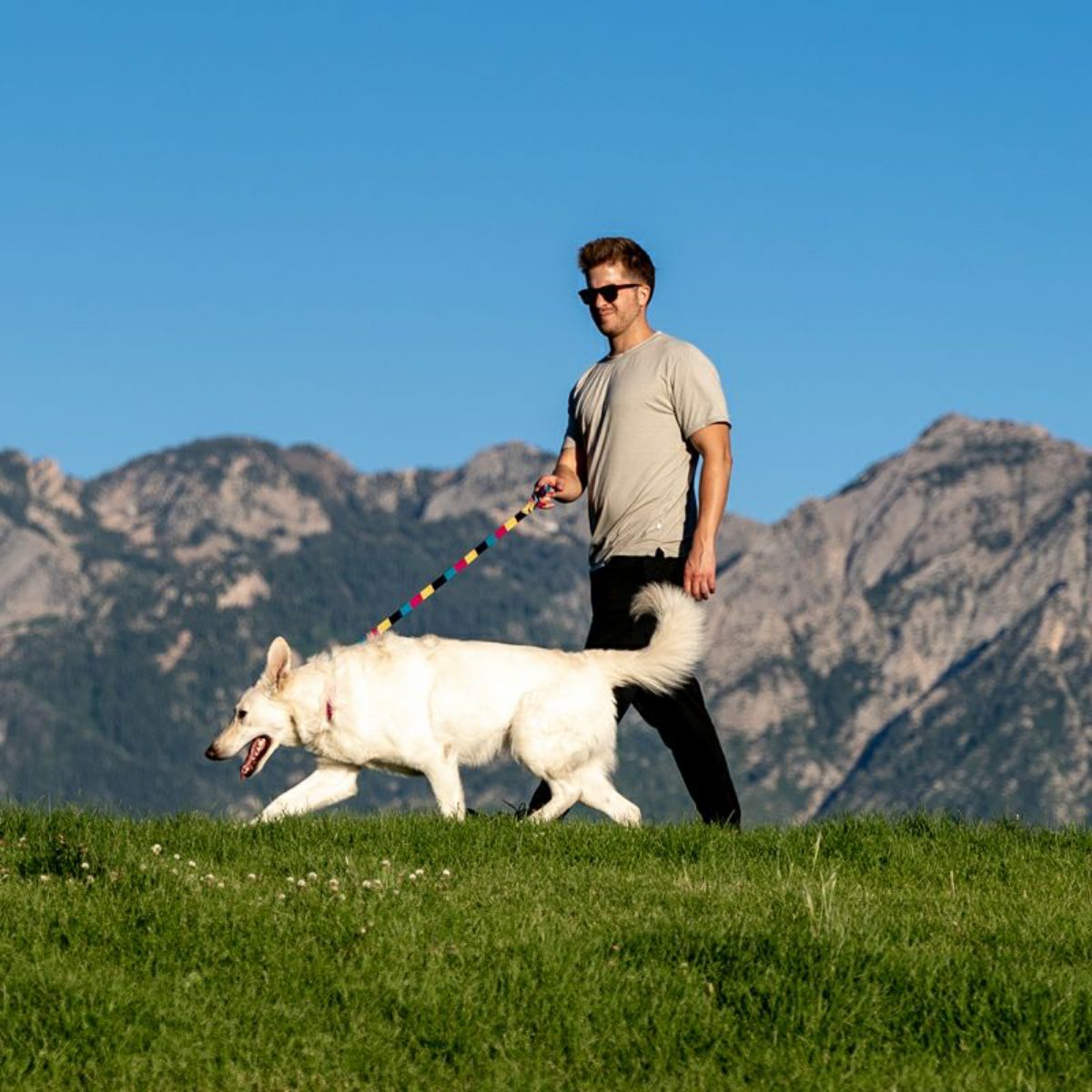 【WOLFGANG MAN & BEAST ウルフギャング マン&ビースト】リード FuzzyTails Leash(S M L size 全長:122cm 183cm)