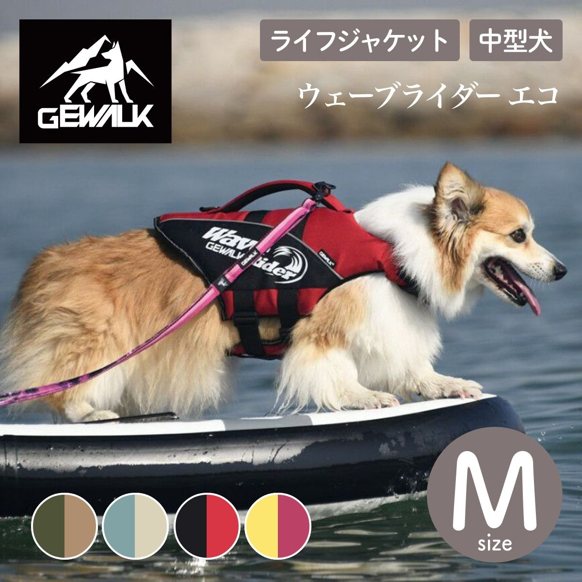 【GEWALK ジウォーク】【2025年モデル】ウェーブライダー エコ Mサイズ