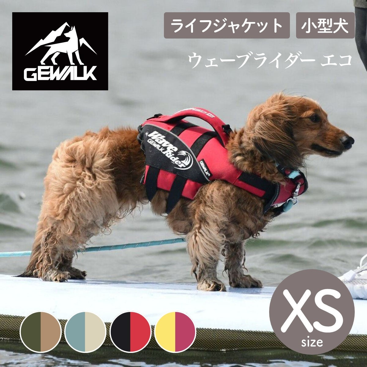 【GEWALK ジウォーク】【2025年モデル】ウェーブライダー エコ XSサイズ 取り寄せ品