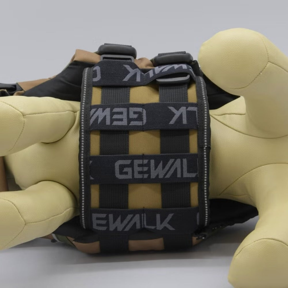 【GEWALK ジウォーク】【2026年モデル】ウェーブライダー エコ XXS〜Sサイズ