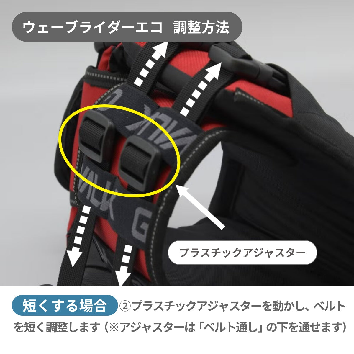 【GEWALK ジウォーク】【2026年モデル】ウェーブライダー エコ XXS〜Sサイズ