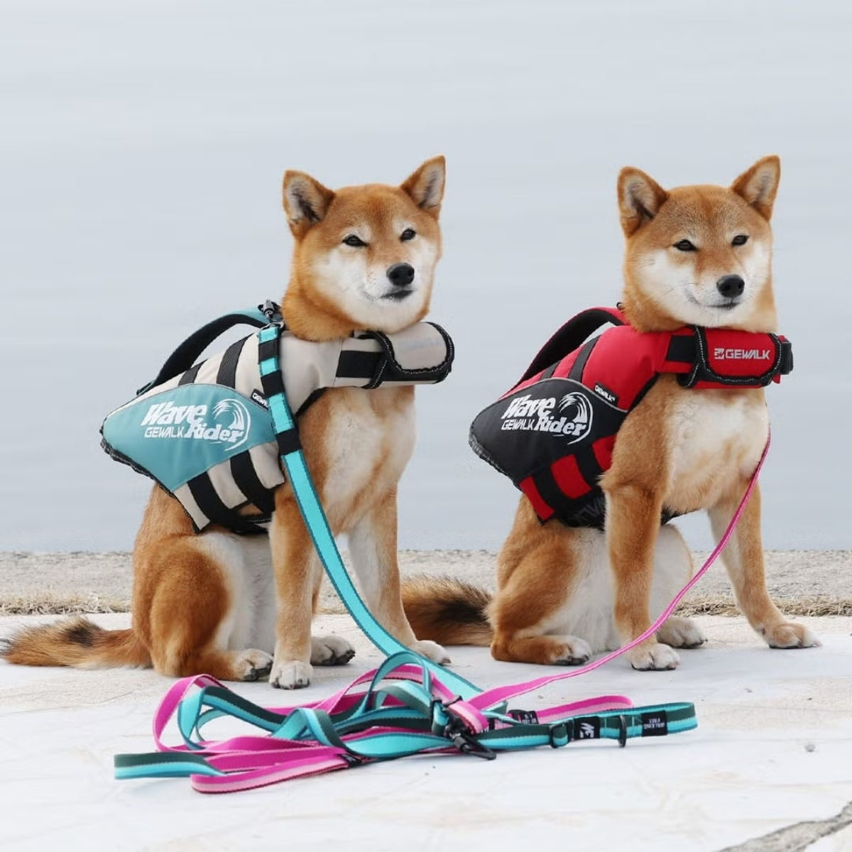 【GEWALK ジウォーク】【2026年モデル】ウェーブライダー エコ M,Lサイズ