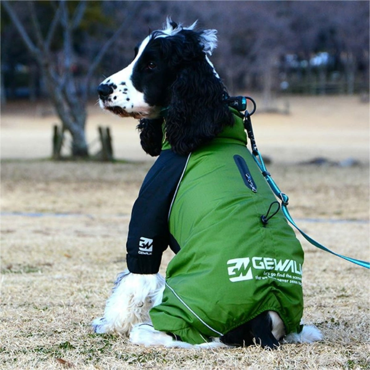 【GEWALK ジウォーク】2025年モデル ドリズル サーマル オーバーオール M Lサイズ 中型犬 撥水加工 ドッグウェア
