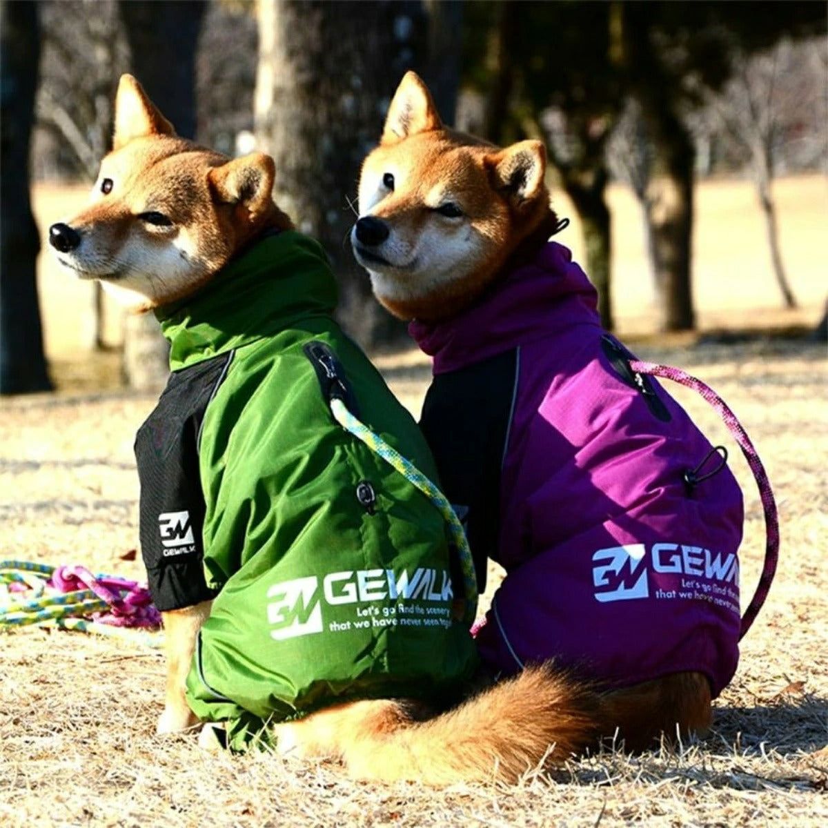 【GEWALK ジウォーク】2025年モデル ドリズル サーマル オーバーオール M Lサイズ 中型犬 撥水加工 ドッグウェア