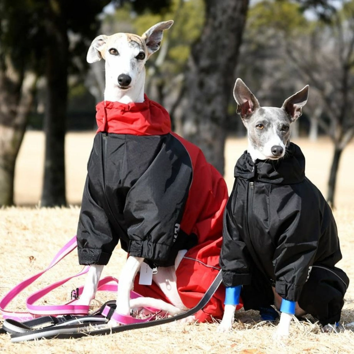 【GEWALK ジウォーク】2025年モデル ドリズル サーマル オーバーオール XL 2XLサイズ 大型犬 撥水加工 ドッグウェア