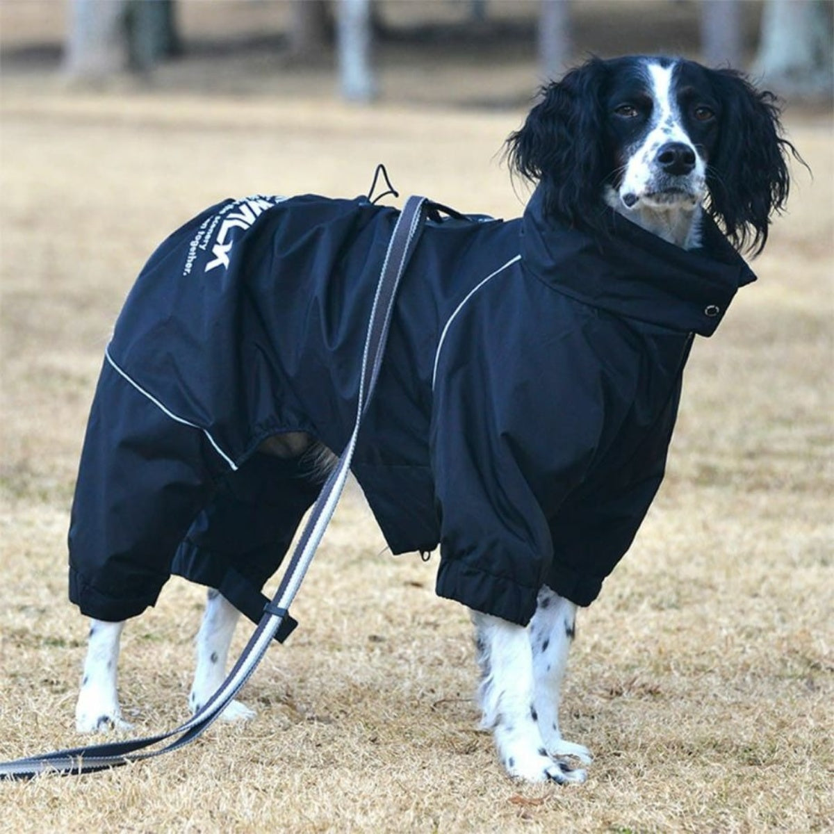 【GEWALK ジウォーク】2025年モデル ドリズル サーマル オーバーオール XL 2XLサイズ 大型犬 撥水加工 ドッグウェア