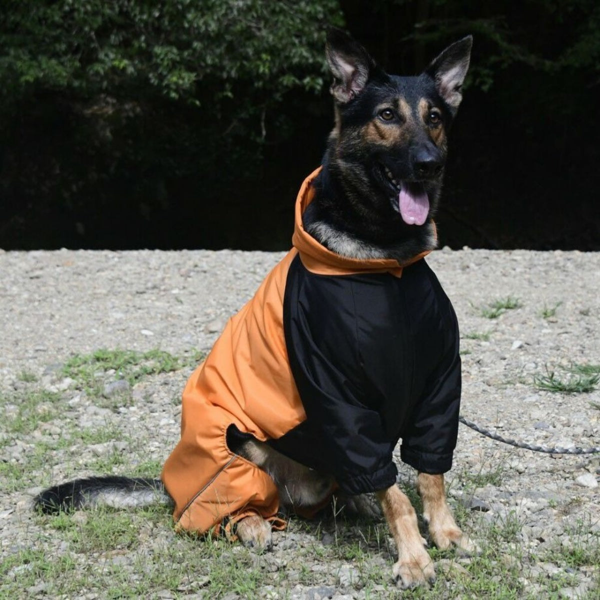 【GEWALK ジウォーク】2025年モデル ドリズル サーマル オーバーオール 3XL 4XLサイズ 大型犬 撥水加工 ドッグウェア