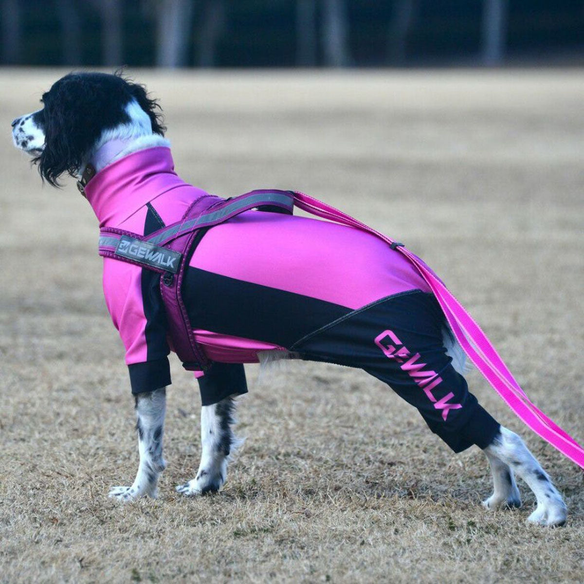 【GEWALK ジウォーク】【2025年モデル】トリコロール カラー プリント プロテクト ストレッチ ロンパース 2L,3Lサイズ