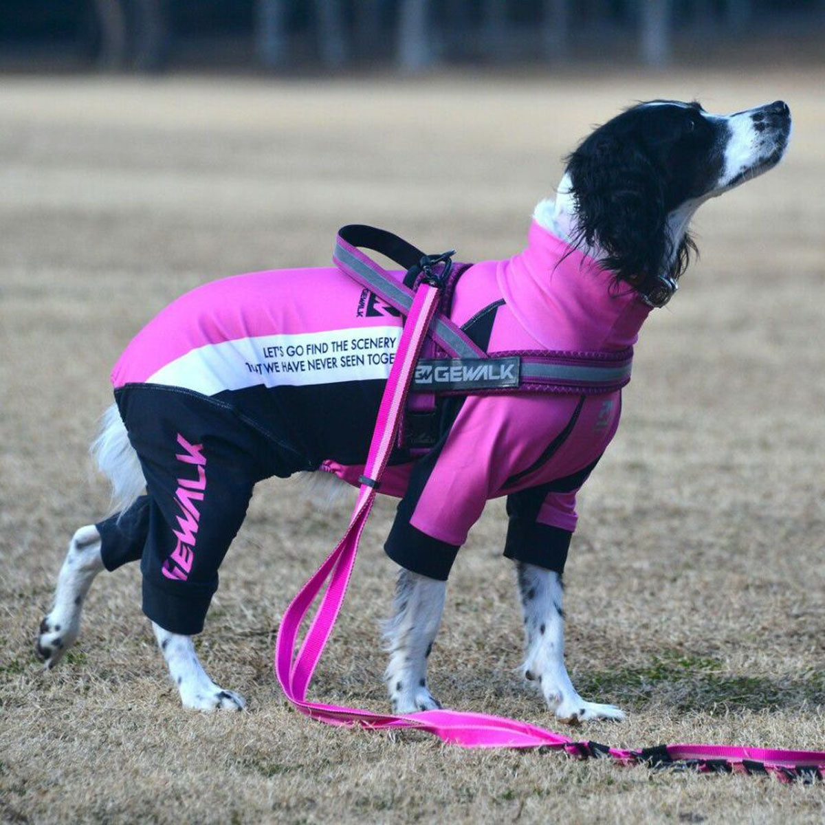 【GEWALK ジウォーク】【2025年モデル】トリコロール カラー プリント プロテクト ストレッチ ロンパース 2L,3Lサイズ