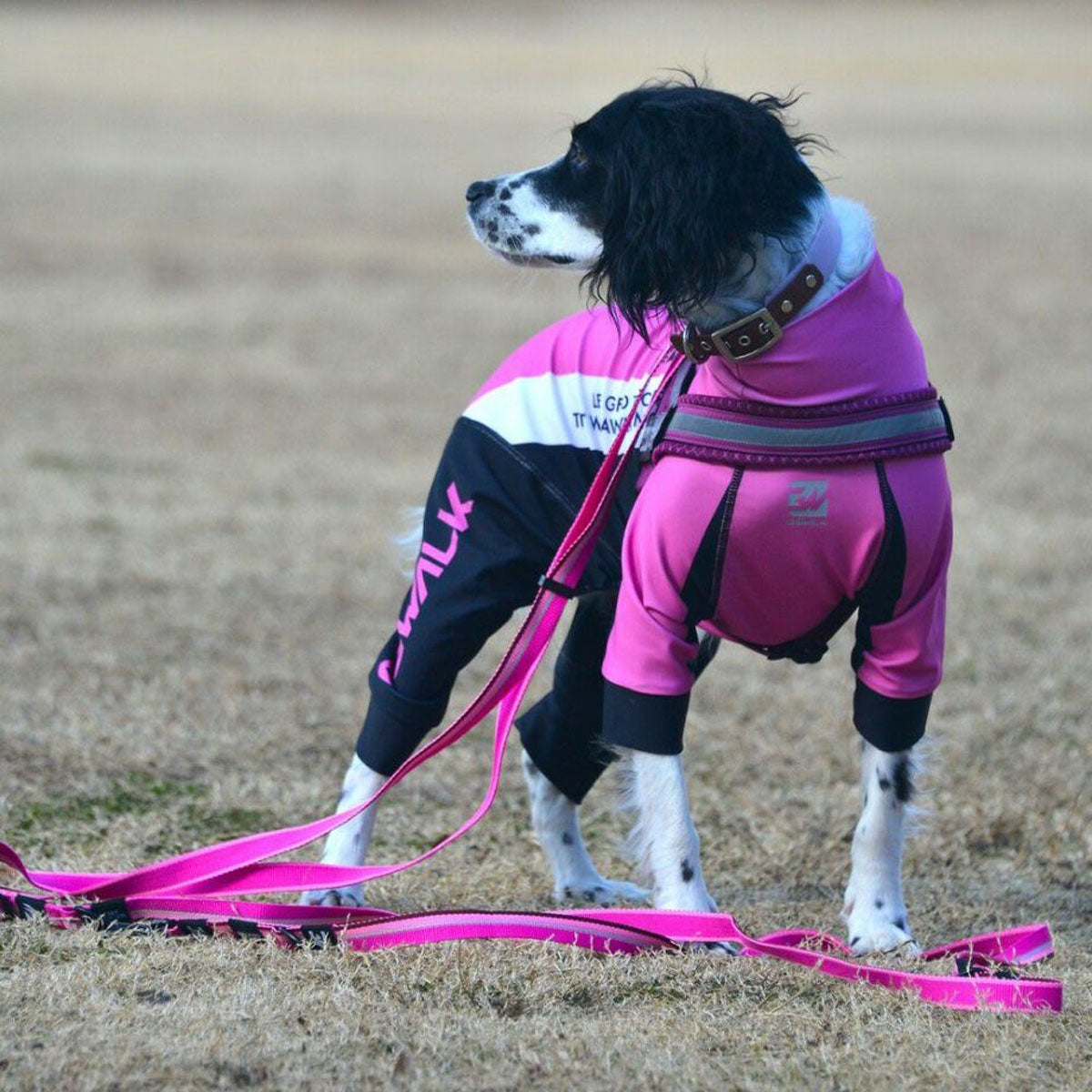 【GEWALK ジウォーク】【2025年モデル】トリコロール カラー プリント プロテクト ストレッチ ロンパース 2L,3Lサイズ