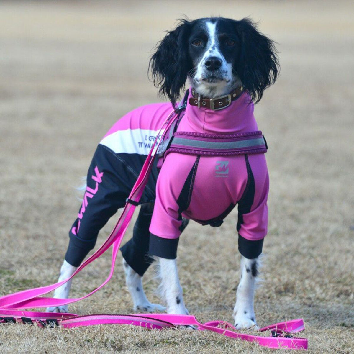 【GEWALK ジウォーク】【2025年モデル】トリコロール カラー プリント プロテクト ストレッチ ロンパース 2L,3Lサイズ