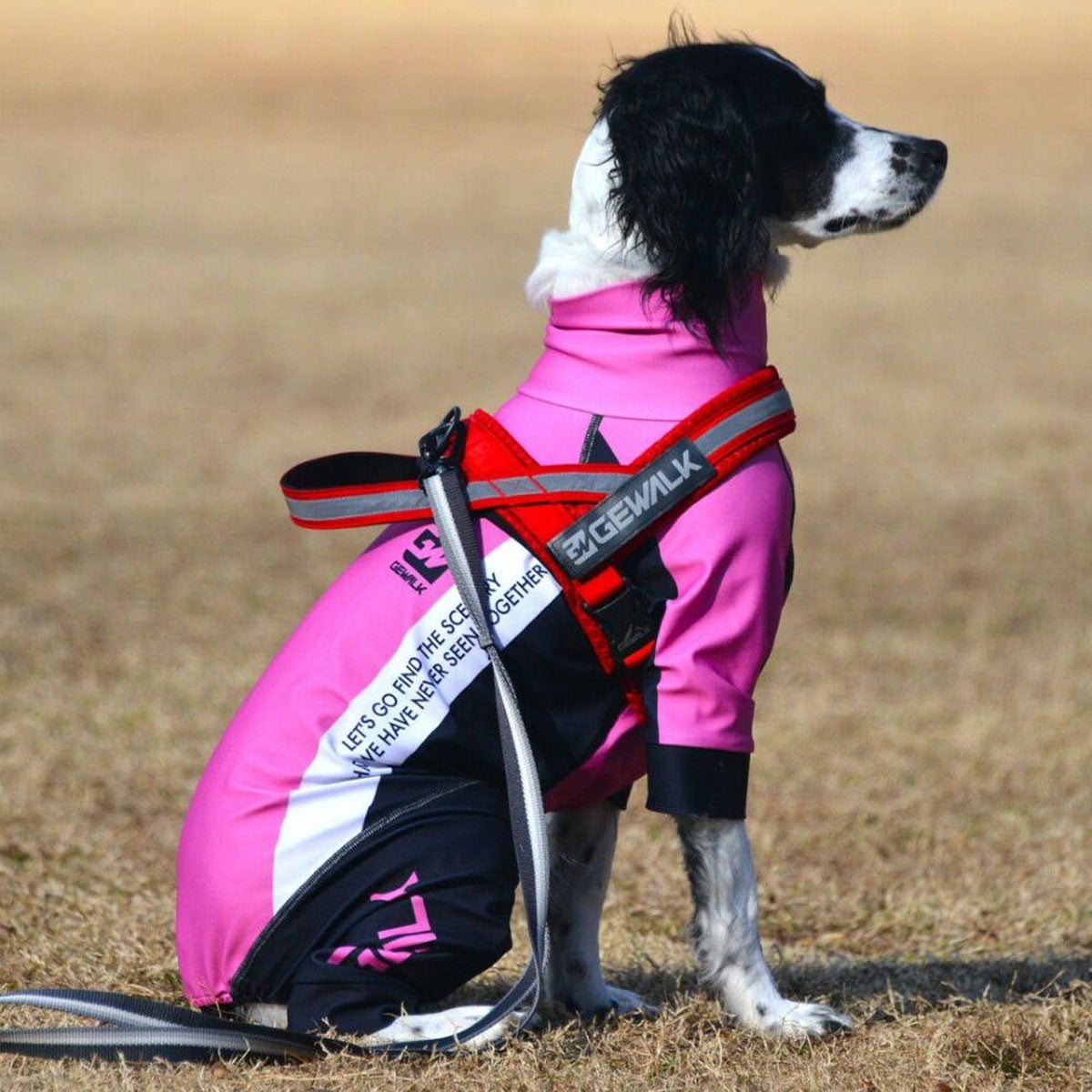 【GEWALK ジウォーク】【2025年モデル】トリコロール カラー プリント プロテクト ストレッチ ロンパース 2L,3Lサイズ