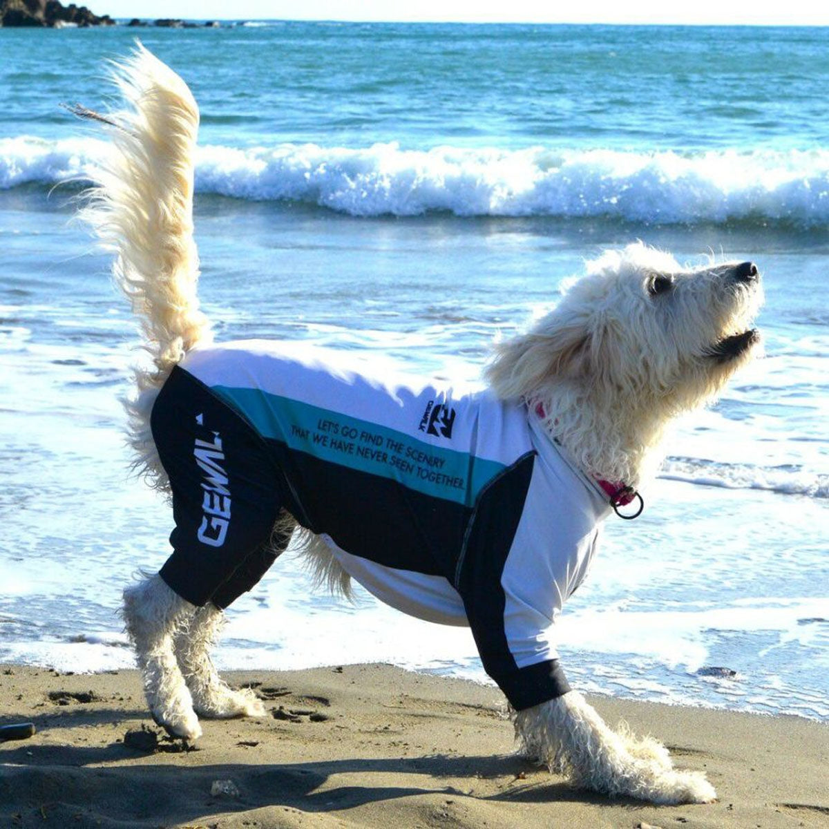 【GEWALK ジウォーク】【2025年モデル】トリコロール カラー プリント プロテクト ストレッチ ロンパース 2XLサイズ