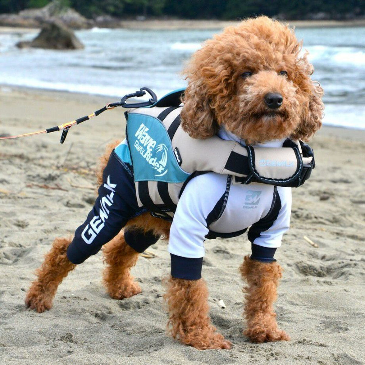 【GEWALK ジウォーク】【2025年モデル】トリコロール カラー プリント プロテクト ストレッチ ロンパース 3Mサイズ 取り寄せ品