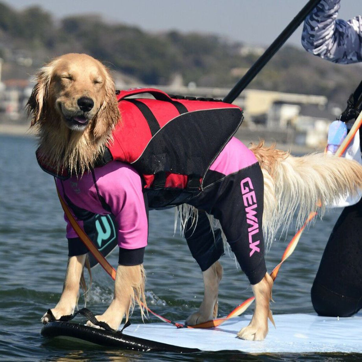 【GEWALK ジウォーク】【2025年モデル】トリコロール カラー プリント プロテクト ストレッチ ロンパース 3XLサイズ