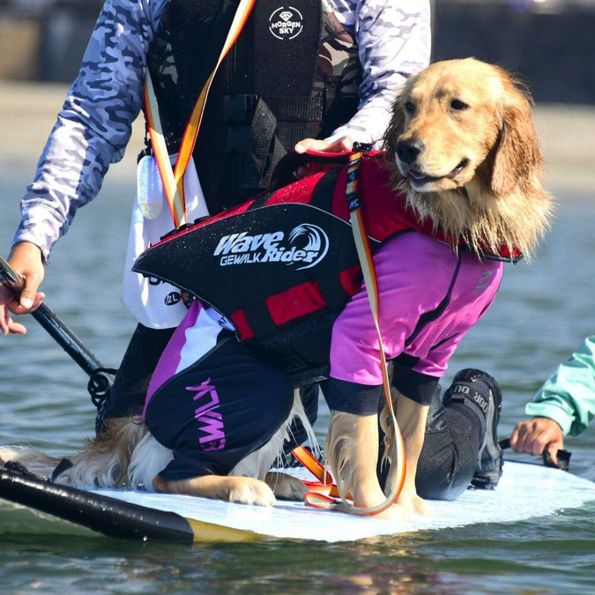 【GEWALK ジウォーク】【2025年モデル】トリコロール カラー プリント プロテクト ストレッチ ロンパース 3XLサイズ