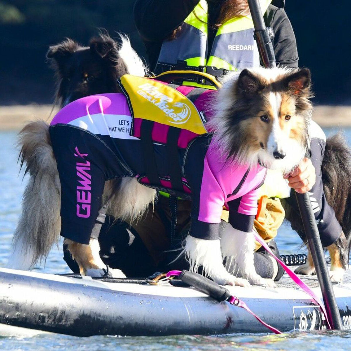 【GEWALK ジウォーク】【2025年モデル】トリコロール カラー プリント プロテクト ストレッチ ロンパース 4Lサイズ