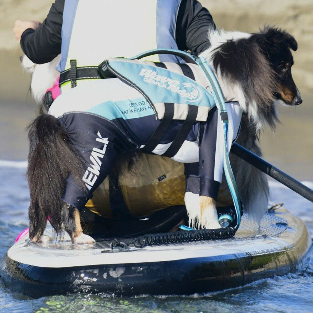 【GEWALK ジウォーク】【2025年モデル】トリコロール カラー プリント プロテクト ストレッチ ロンパース 4Lサイズ