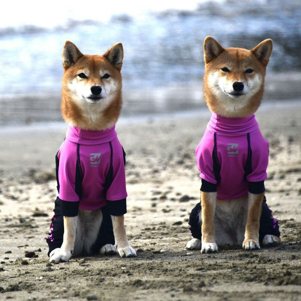 【GEWALK ジウォーク】【2025年モデル】トリコロール カラー プリント プロテクト ストレッチ ロンパース Lサイズ