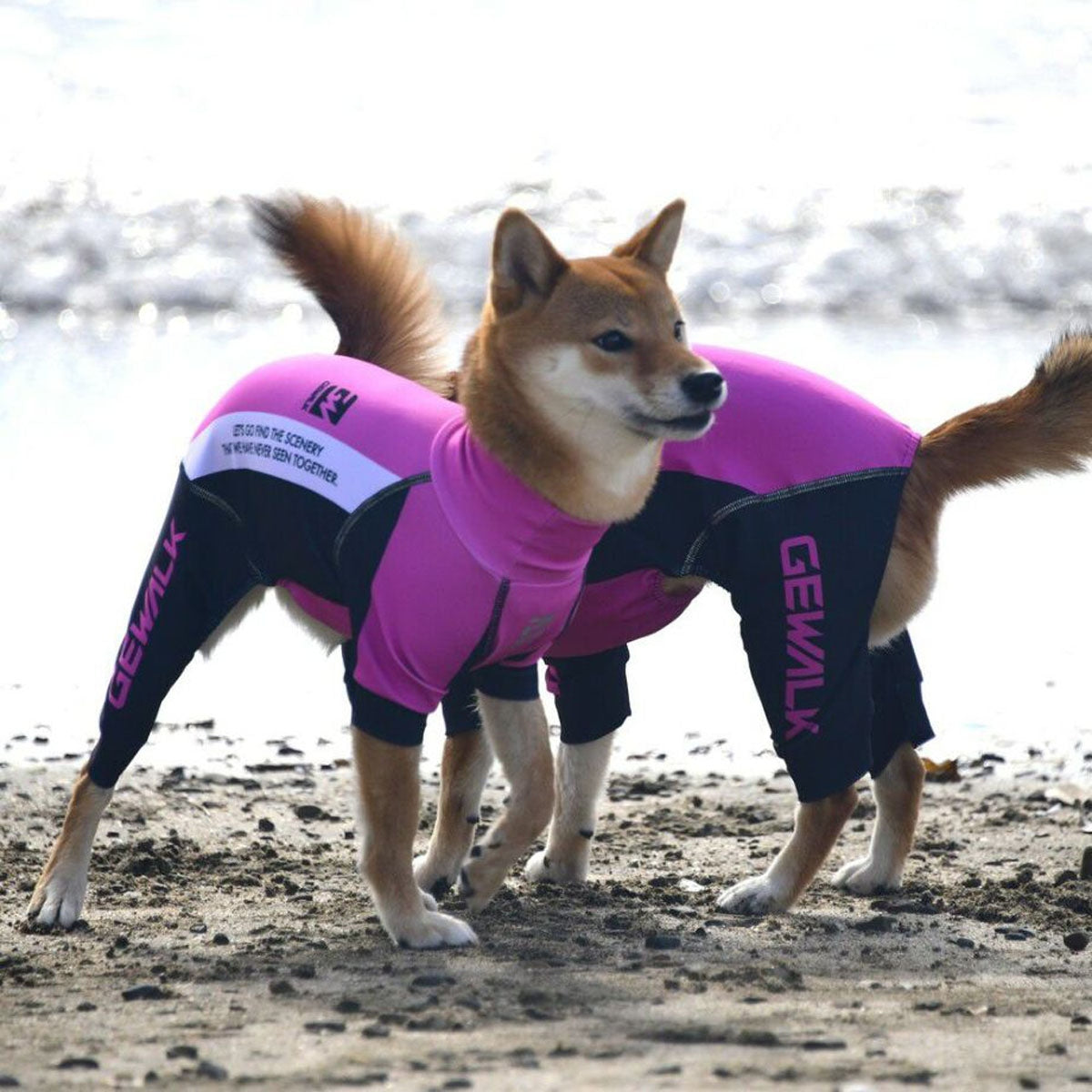 【GEWALK ジウォーク】【2025年モデル】トリコロール カラー プリント プロテクト ストレッチ ロンパース Lサイズ