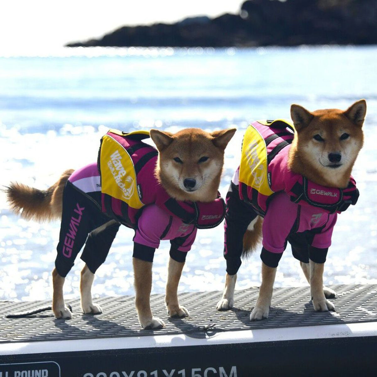 【GEWALK ジウォーク】【2025年モデル】トリコロール カラー プリント プロテクト ストレッチ ロンパース Lサイズ