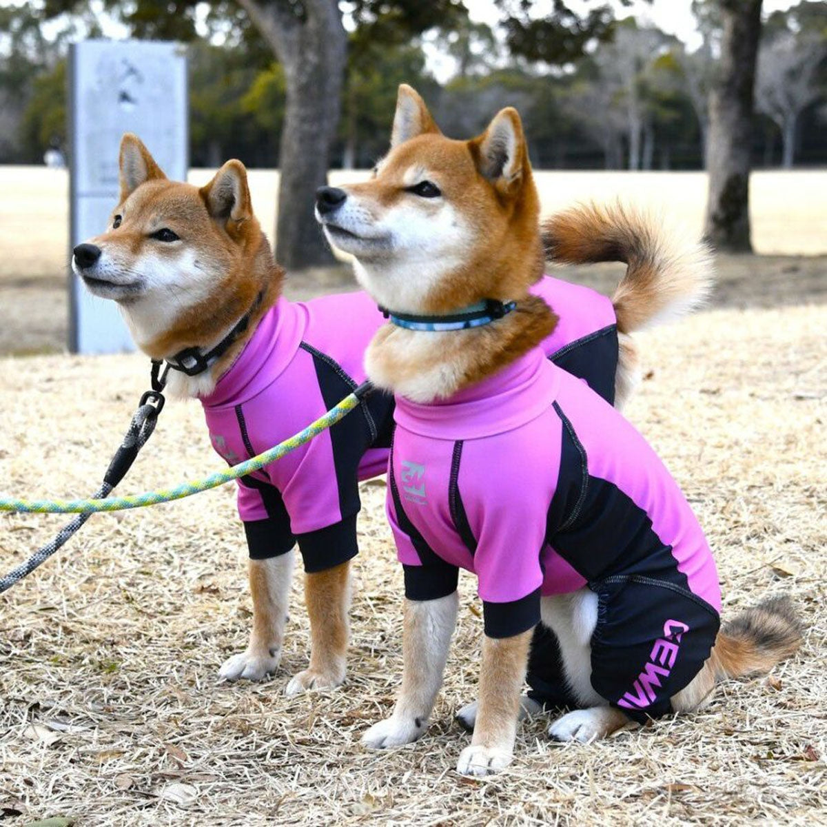 【GEWALK ジウォーク】【2025年モデル】トリコロール カラー プリント プロテクト ストレッチ ロンパース Lサイズ