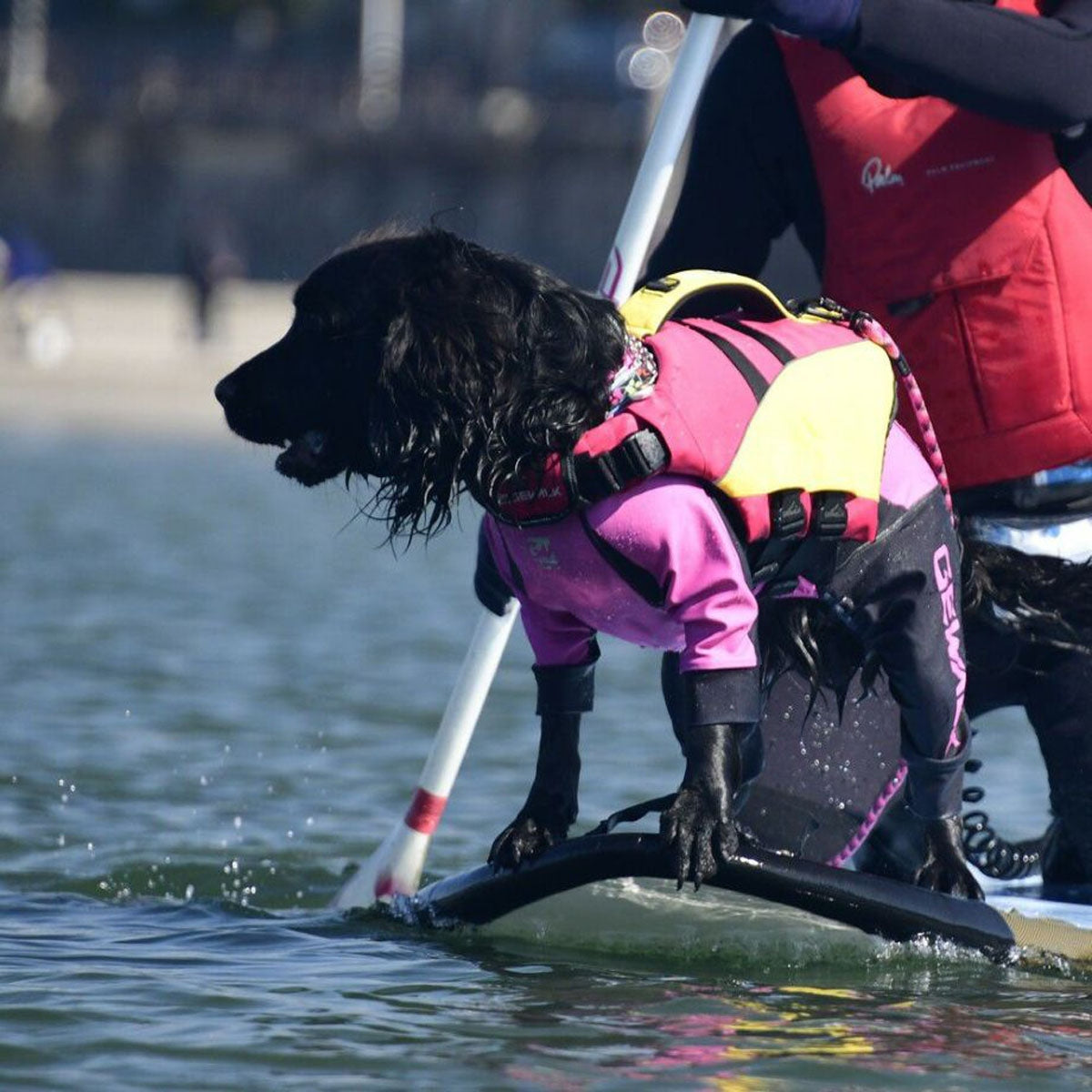 【GEWALK ジウォーク】【2025年モデル】トリコロール カラー プリント プロテクト ストレッチ ロンパース XLサイズ