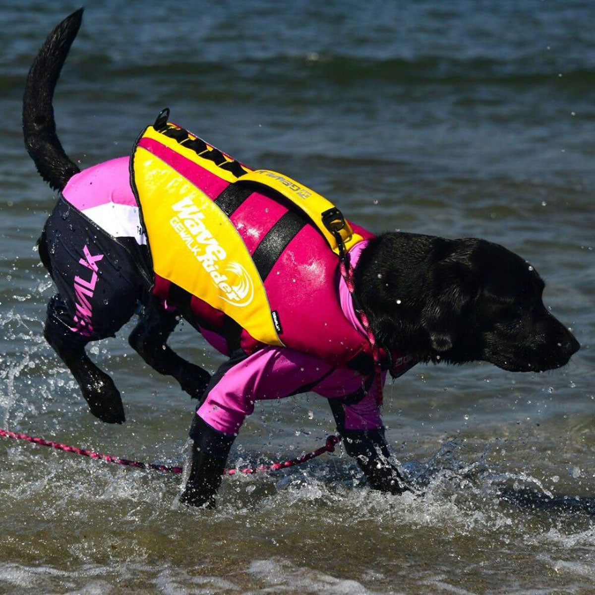 【GEWALK ジウォーク】【2025年モデル】トリコロール カラー プリント プロテクト ストレッチ ロンパース XLサイズ