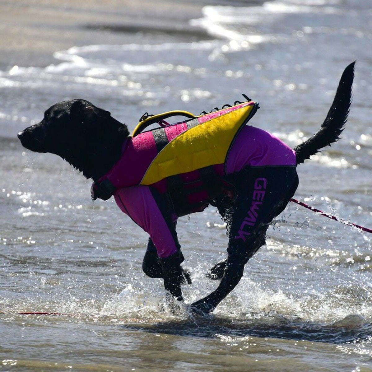 【GEWALK ジウォーク】【2025年モデル】トリコロール カラー プリント プロテクト ストレッチ ロンパース XLサイズ