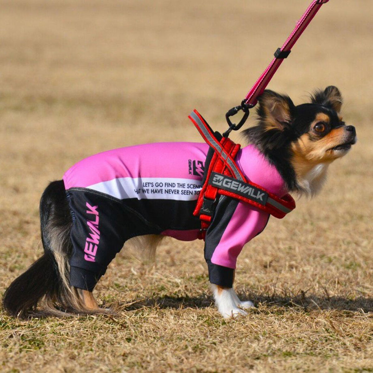 【GEWALK ジウォーク】【2025年モデル】トリコロール カラー プリント プロテクト ストレッチ ロンパース XS,Sサイズ 取り寄せ品