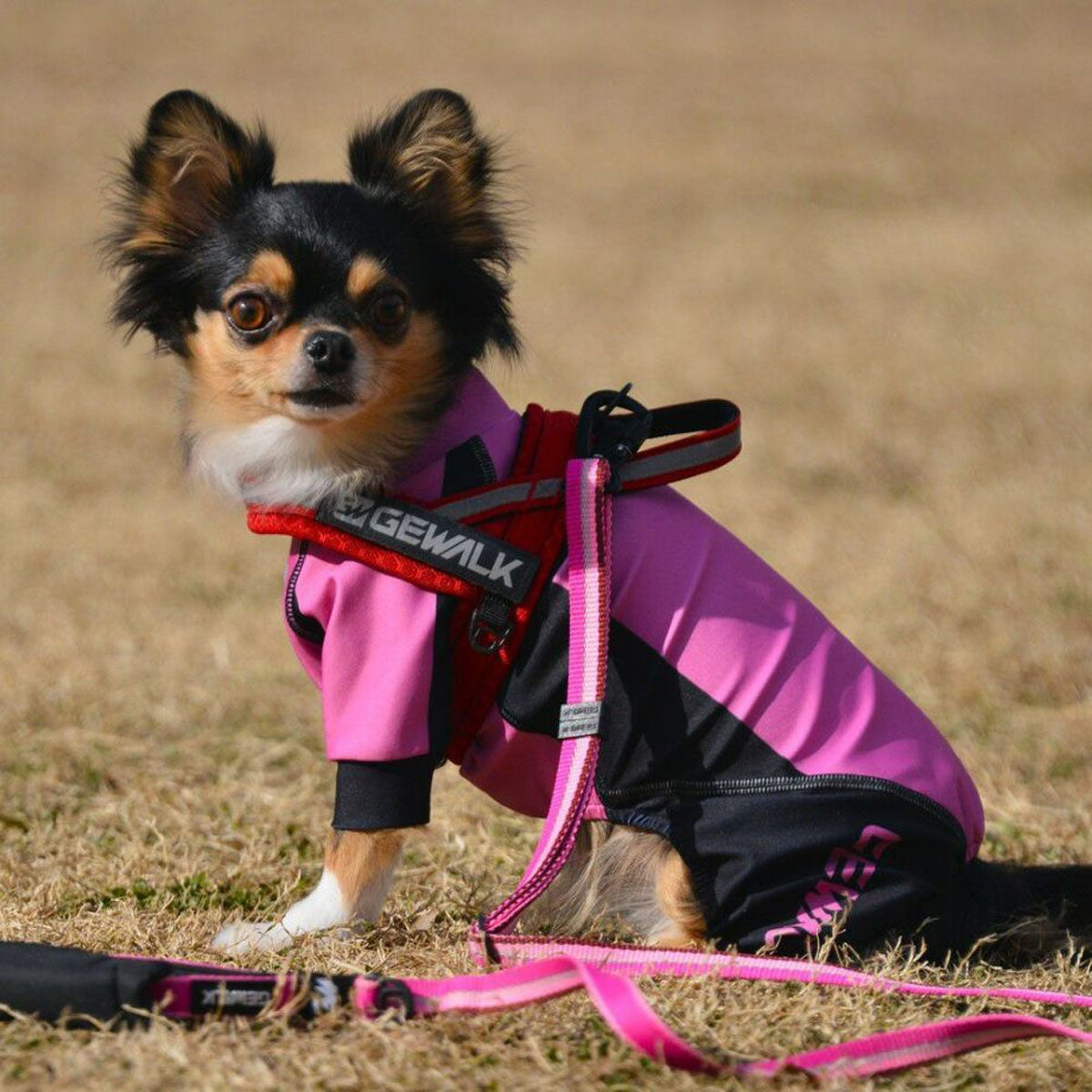 【GEWALK ジウォーク】【2025年モデル】トリコロール カラー プリント プロテクト ストレッチ ロンパース XS,Sサイズ 取り寄せ品