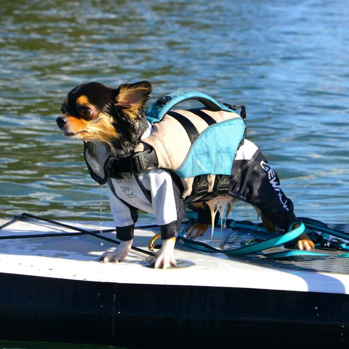 【GEWALK ジウォーク】【2025年モデル】トリコロール カラー プリント プロテクト ストレッチ ロンパース XS,Sサイズ 取り寄せ品