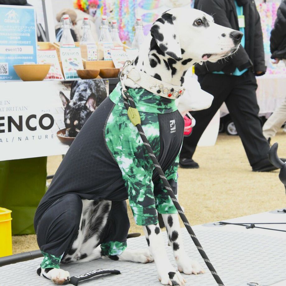 【GEWALK ジウォーク】タイダイプリント マイナス フリージング ロンパース 5Lサイズ グリーン・パープル