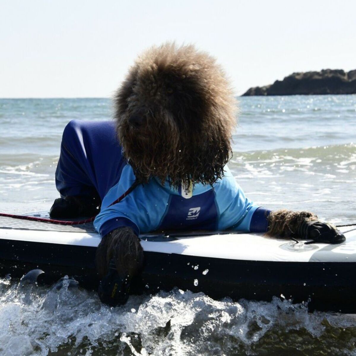 【GEWALK ジウォーク】トリコロールプリント プロテクト ストレッチ ロンパース 5XLサイズ ピンク・ブルー 取り寄せ品