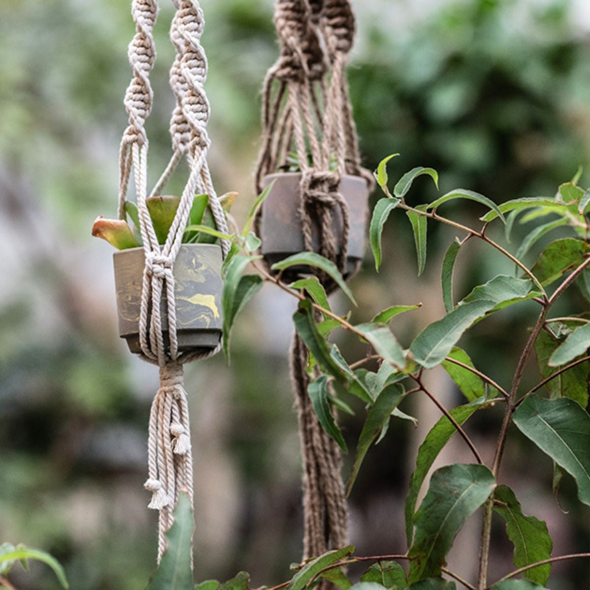 【HINODEYA_KYOTO キョウト_ヒノデヤ】ソイル ポット グレー/イエロー・グレー/オレンジ・ホワイト/ネイビー